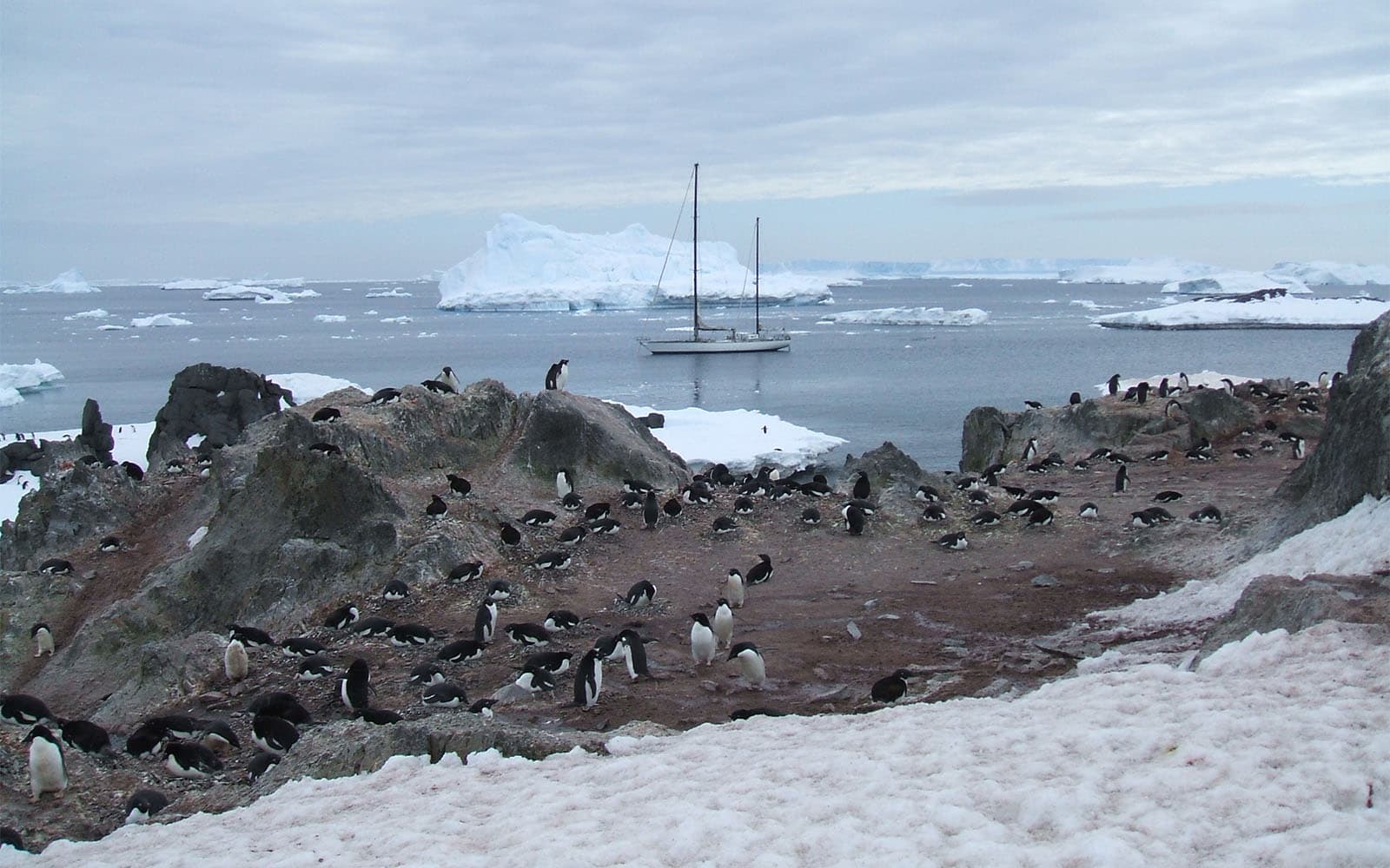 Voilier Fernande en Antarctique